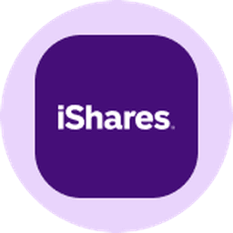 iShares MSCI Emerging Markets ETF (Ondo Tokenized) logo
